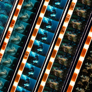 Cinema Lightboxes • MINI-CINEMA Lightbox Collection ~ Film Collage